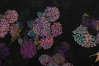 Hydrangea Hua Luo Silk